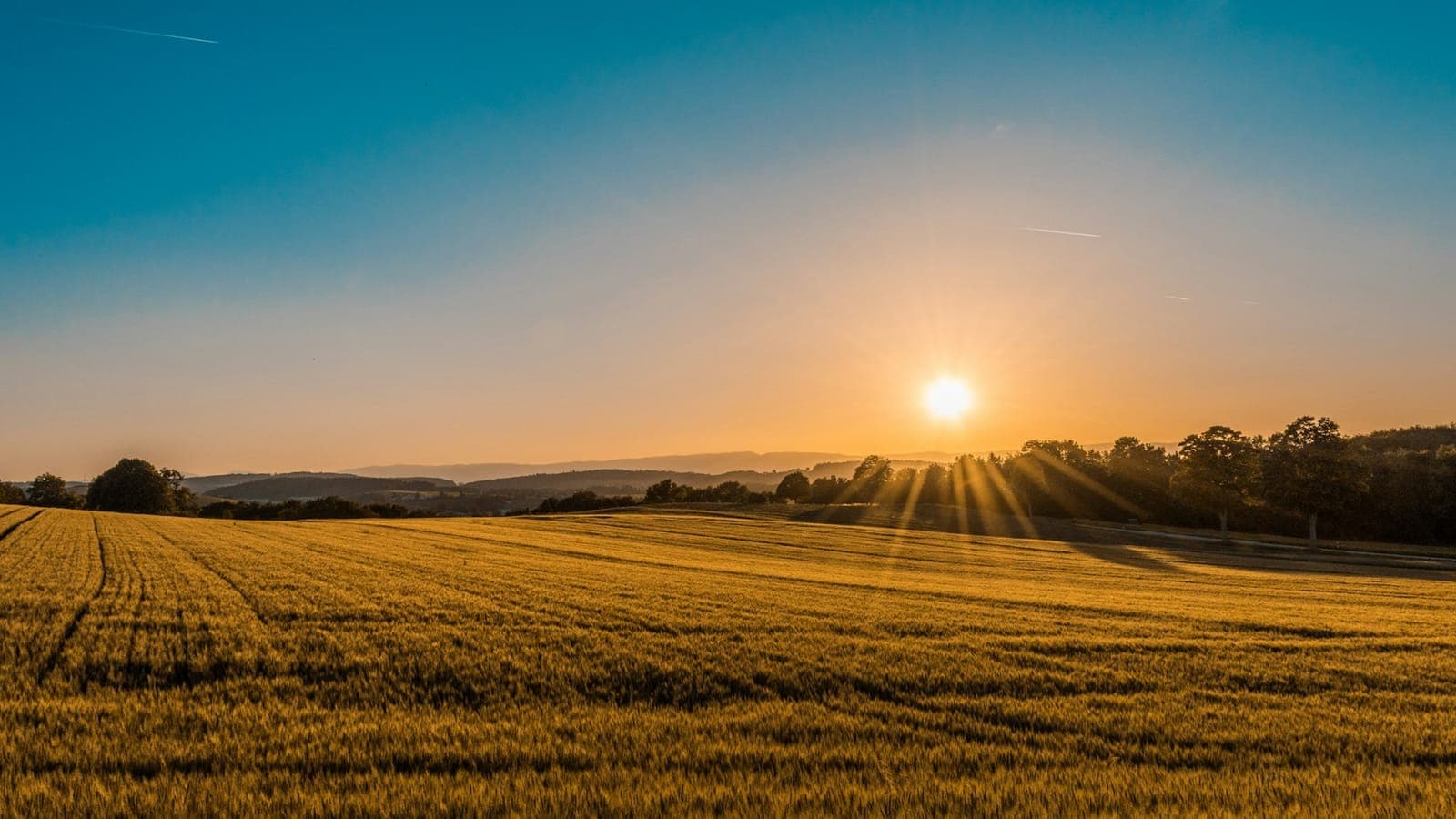 Open farmland at golden hour, the setting for farmhouse and plot developments